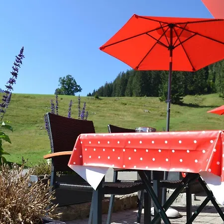 Lodge Wuerttemberger Haus - Huette *
